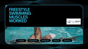Adult Swimming Lessons Academy Singapore HydroSplash Freestyle Swimming Muscles Worked A Complete Guide