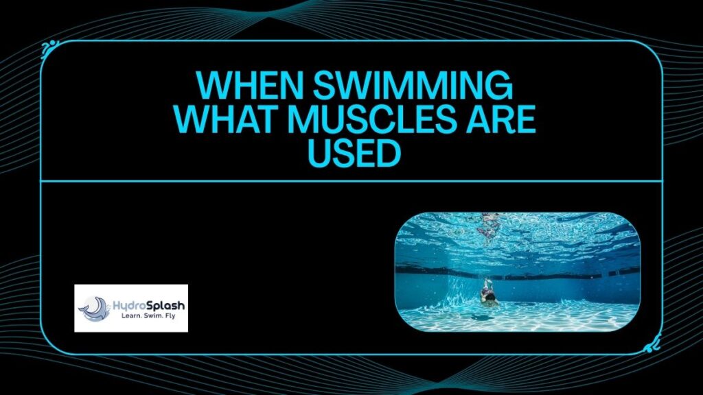 Adult Swimming Lessons Academy Singapore HydroSplash When Swimming What Muscles Are Used