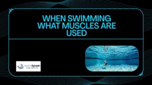 Adult Swimming Lessons Academy Singapore HydroSplash When Swimming What Muscles Are Used